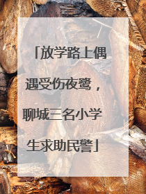 放学路上偶遇受伤夜鹭，聊城三名小学生求助民警